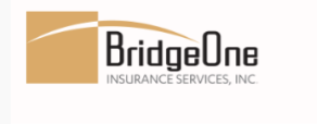 BridgeOne Logo